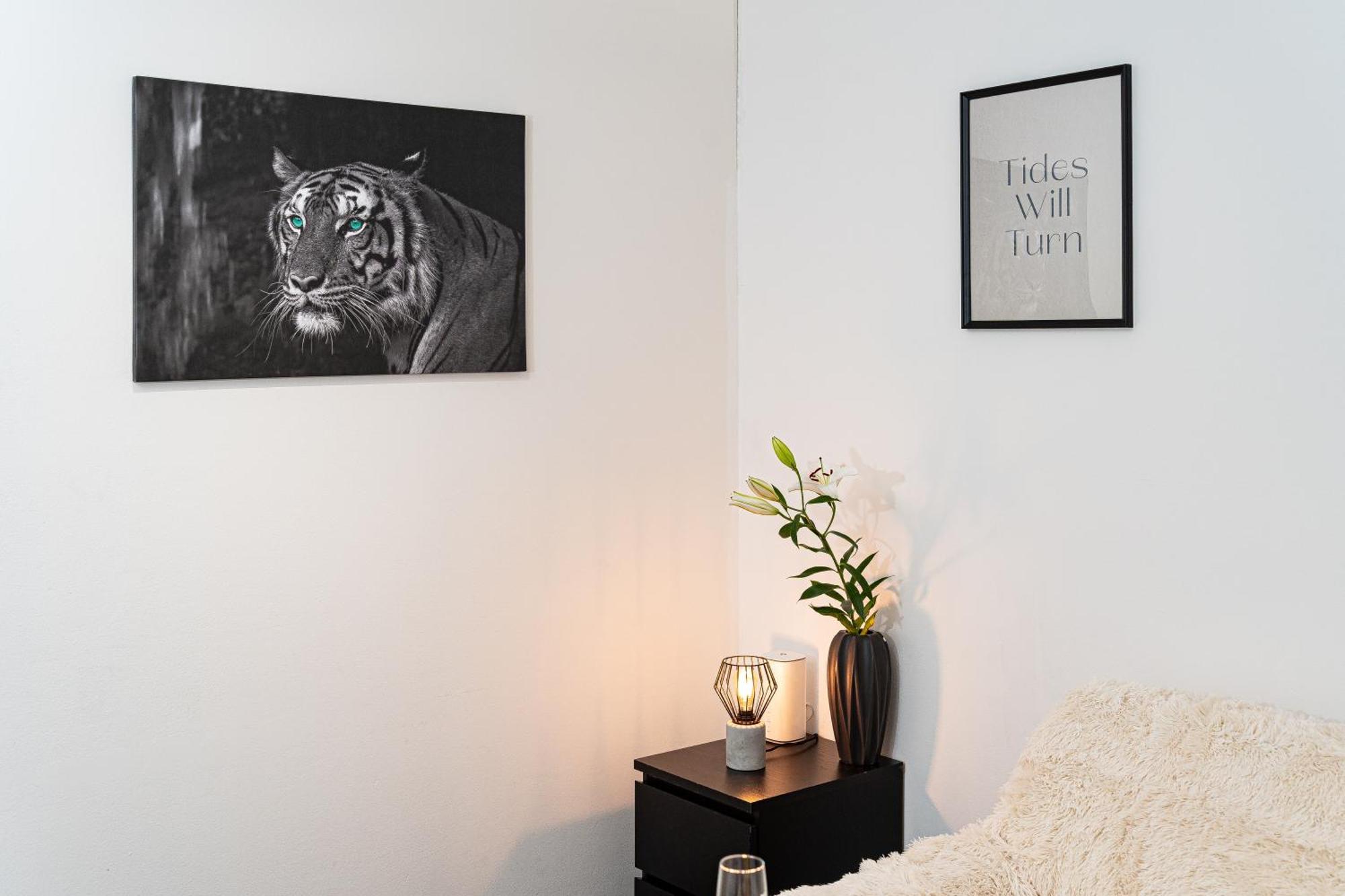 Apartment Penthouse Tiger Deluxe Prag
